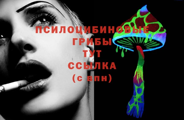 гидропоника Зеленокумск