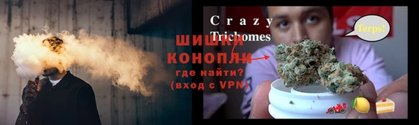 стаф Зерноград