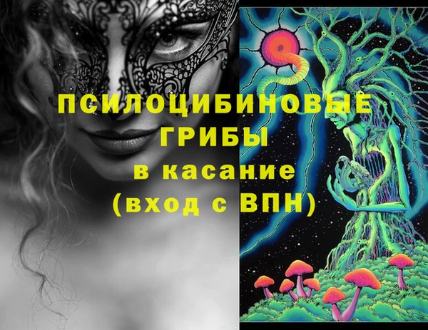 СК Инсар