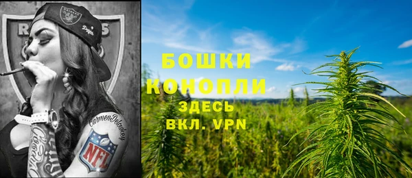 бутират Майский