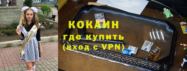 стаф Зерноград