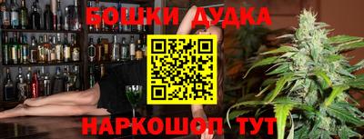spice Гатчина