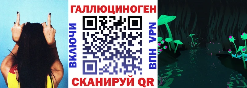 наркошоп  Воронеж  Галлюциногенные грибы Psilocybe 