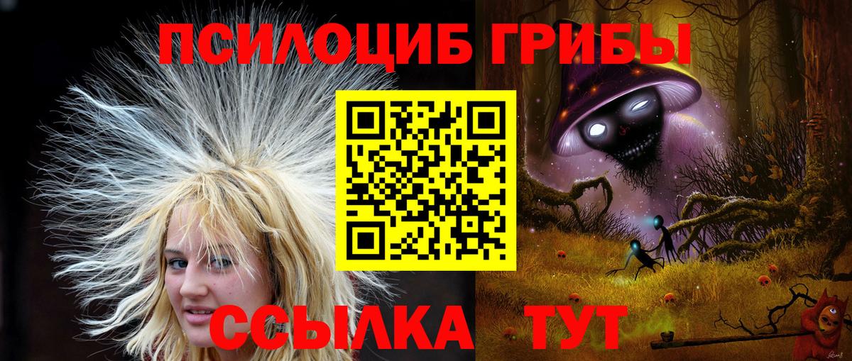 Псилоцибиновые грибы Psilocybe Воронеж