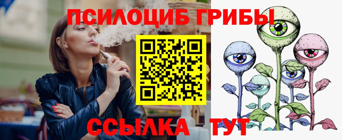 Псилоцибиновые грибы мицелий  закладка  Вход с VPN  Воронеж  Псилоцибиновые грибы мицелий 
